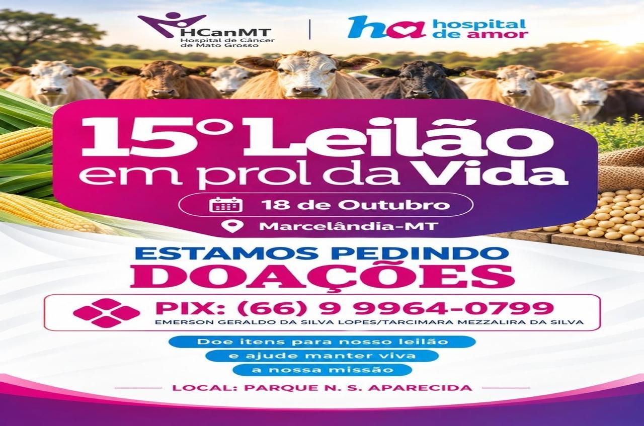 Hospital do Amor promove 15º Leilão em Prol à Vida e pede doações da comunidade